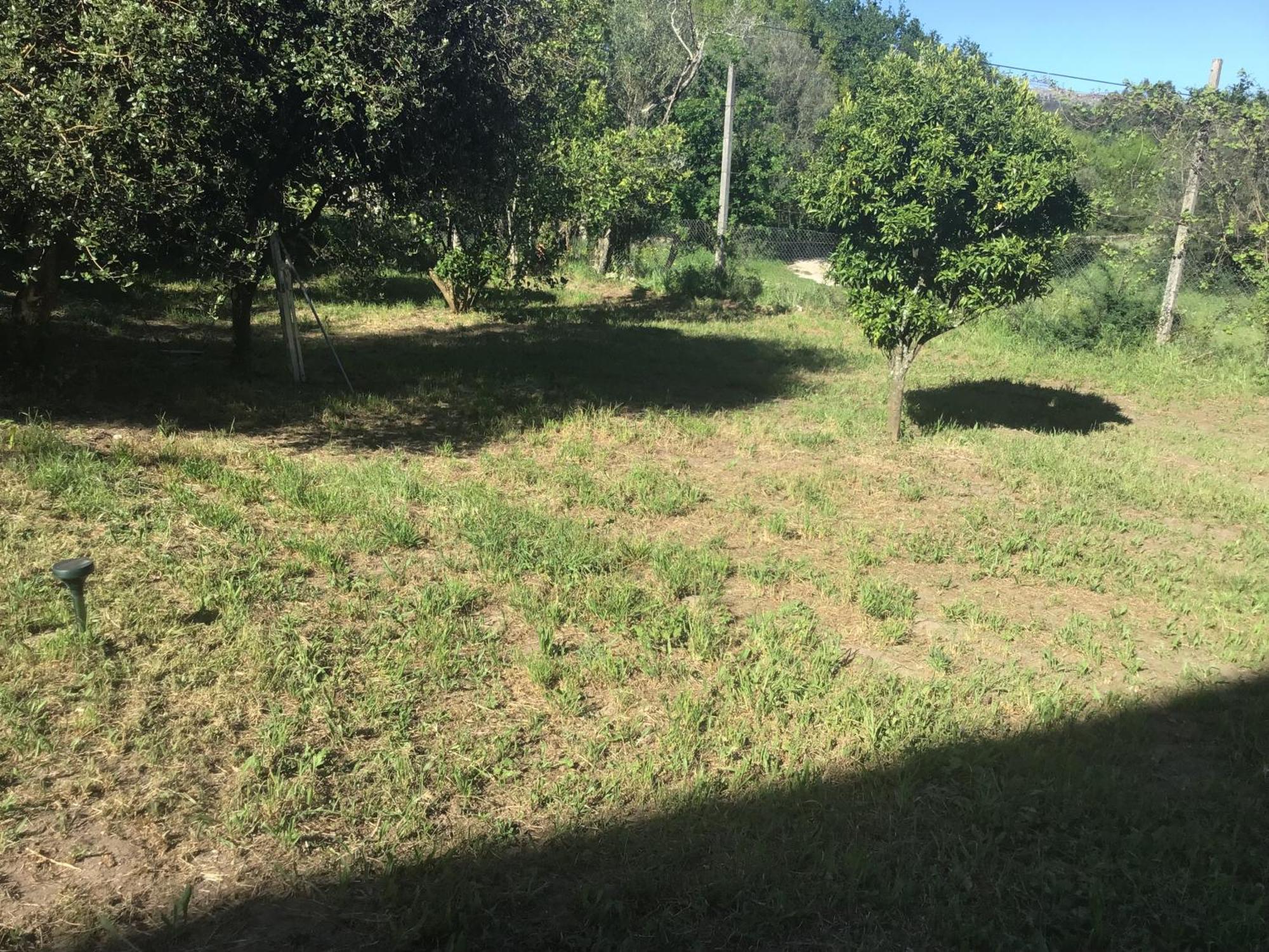 Quinta Dos Trilhos Villa Fafe Dış mekan fotoğraf