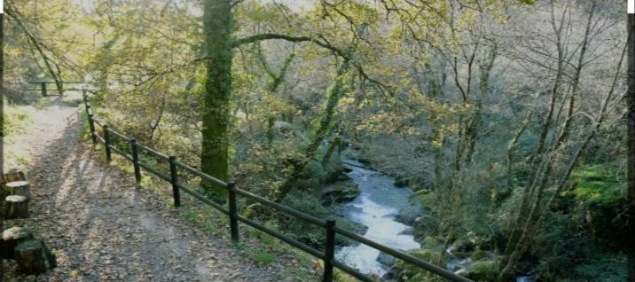 Quinta Dos Trilhos Villa Fafe Dış mekan fotoğraf
